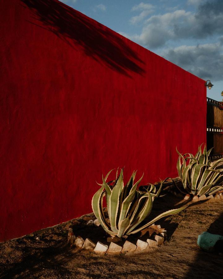 Cabana R Y A Valle De Guadalupe Extérieur photo